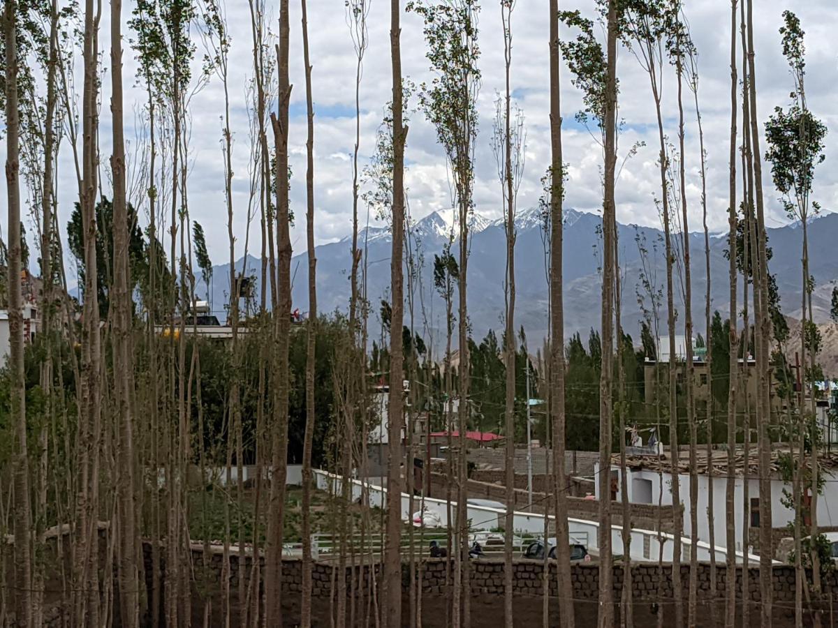 Chandan Guest House Leh Exterior photo